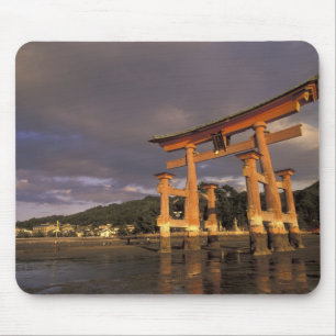 Asia, Japan, western Honshu, Miya, Jima Island, Mouse Mat