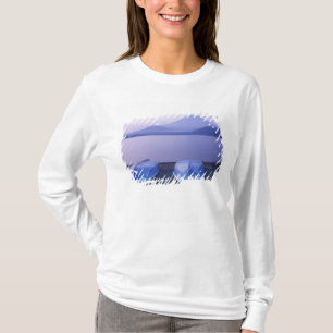 Asia, Japan, Yamanashi, Rowboats on Motosu Lake T-Shirt