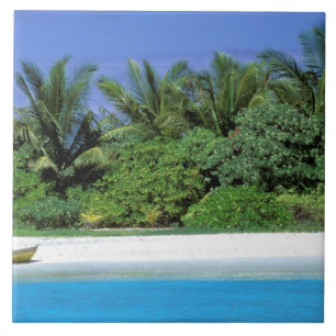 Asia, Maldives. North Male Atoll Tile