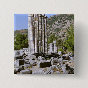 Asia, Middle East, Turkey, Ephesus. Temple of 15 Cm Square Badge