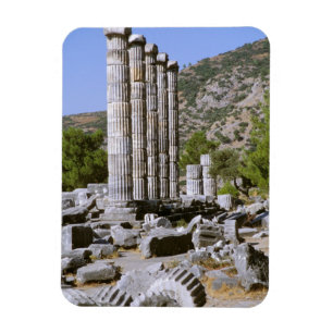 Asia, Middle East, Turkey, Ephesus. Temple of Magnet