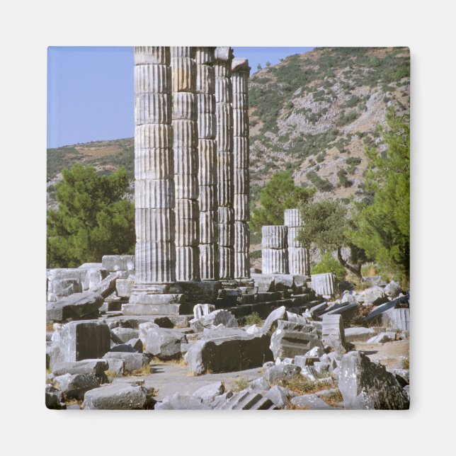 Asia, Middle East, Turkey, Ephesus. Temple of Magnet (Front)
