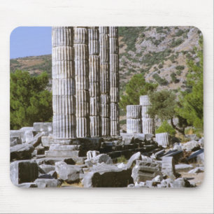 Asia, Middle East, Turkey, Ephesus. Temple of Mouse Mat