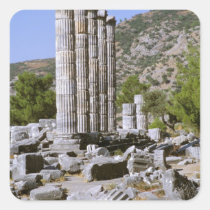Asia, Middle East, Turkey, Ephesus. Temple of Square Sticker