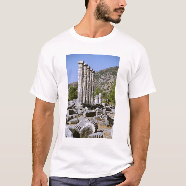 Asia, Middle East, Turkey, Ephesus. Temple of T-Shirt (Front)