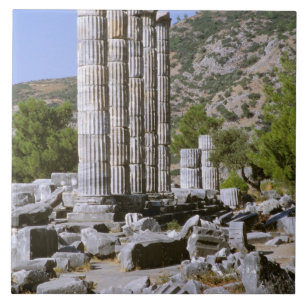 Asia, Middle East, Turkey, Ephesus. Temple of Tile