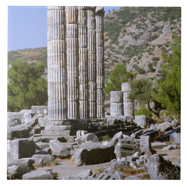 Asia, Middle East, Turkey, Ephesus. Temple of Tile (Front)