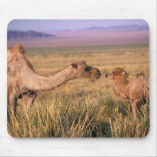 Asia, Mongolia, Gobi Desert, Great Gobi Mouse Mat