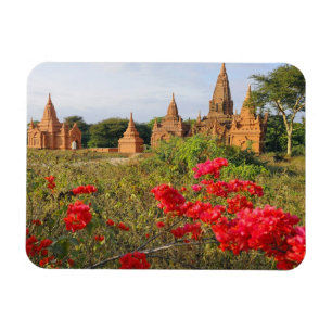 Asia, Myanmar (Burma), Bagan (Pagan). A Bagan Magnet