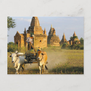 Asia, Myanmar (Burma), Bagan (Pagan). A cart is Postcard