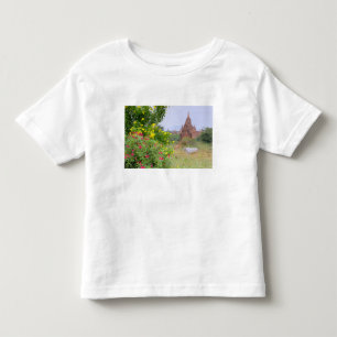 Asia, Myanmar (Burma), Bagan (Pagan). Cows Toddler T-Shirt