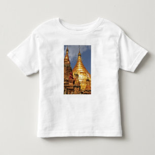 Asia, Myanmar (Burma), Bagan (Pagan). The Dhamma Toddler T-Shirt
