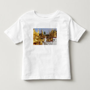 Asia, Myanmar (Burma), Bagan (Pagan). The Shwe 5 Toddler T-Shirt
