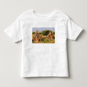 Asia, Myanmar (Burma), Bagan (Pagan). Various 2 Toddler T-Shirt