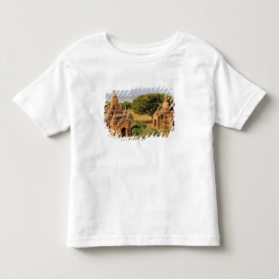 Asia, Myanmar (Burma), Bagan (Pagan). Various 2 Toddler T-Shirt