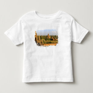 Asia, Myanmar (Burma), Bagan (Pagan). Various Toddler T-Shirt