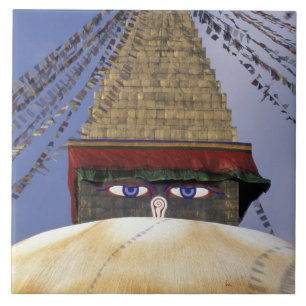Asia, Nepal, Kathmandu. Bouddhanath Stupa. 2 Tile