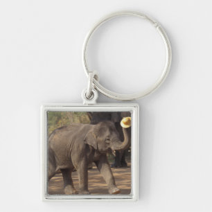 Asia, Thailand, Lampang Bowing with hat - Thai Key Ring