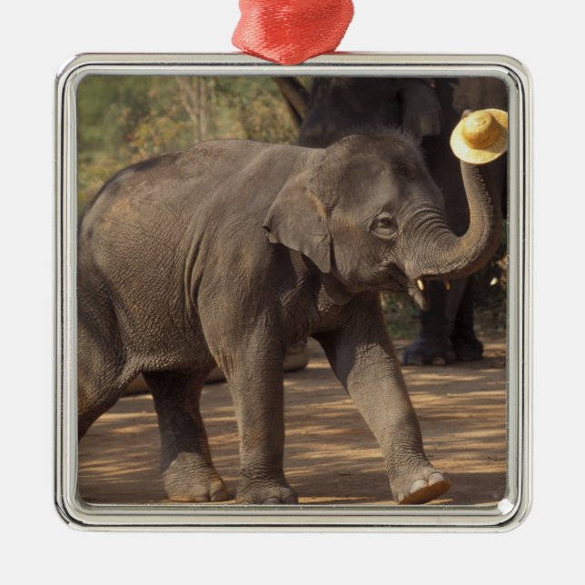 Asia, Thailand, Lampang Bowing with hat - Thai Metal Tree Decoration (Front)