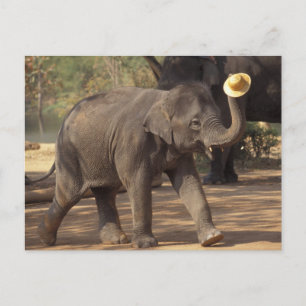 Asia, Thailand, Lampang Bowing with hat - Thai Postcard