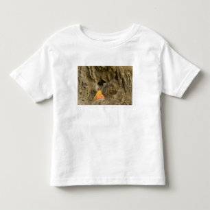 Asia, Thailand, Mae Hong Son, Buddha Images Toddler T-Shirt