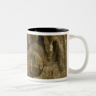 Asia, Thailand, Mae Hong Son, Buddha Images Two-Tone Coffee Mug
