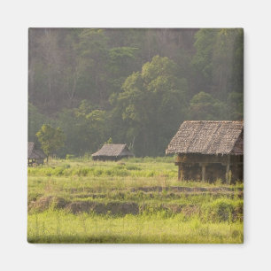 Asia, Thailand, Mae Hong Son, Rice huts in the Magnet