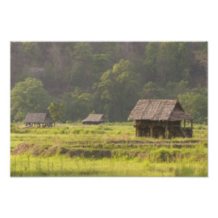 Asia, Thailand, Mae Hong Son, Rice huts in the Photo Print