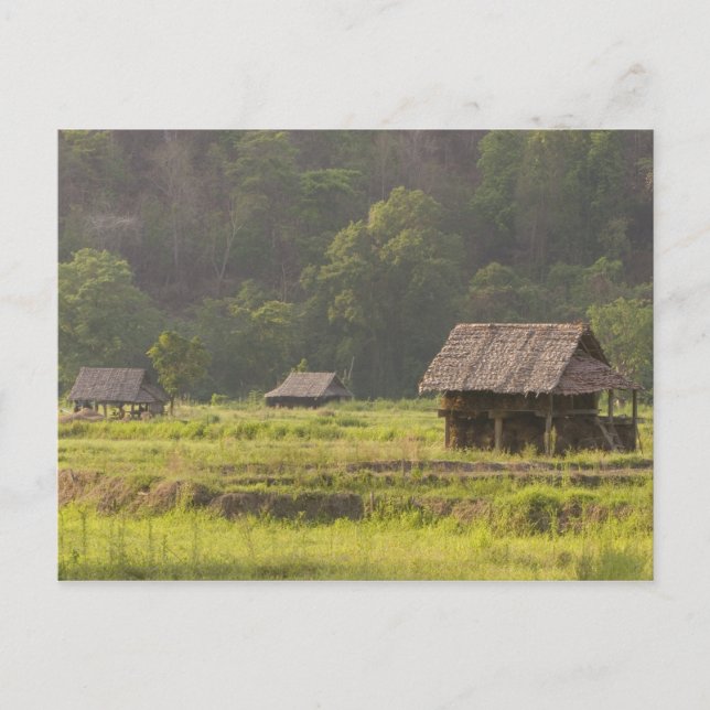 Asia, Thailand, Mae Hong Son, Rice huts in the Postcard (Front)
