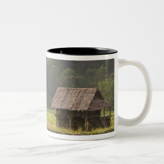 Asia, Thailand, Mae Hong Son, Rice huts in the Two-Tone Coffee Mug (Right)