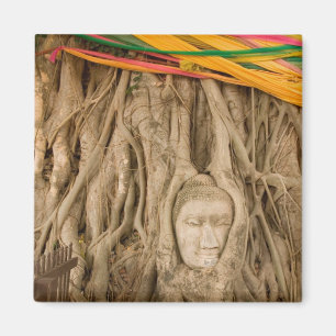 Asia, Thailand, Siam, Buddha in tree ruts at Magnet