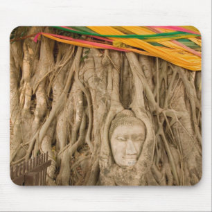 Asia, Thailand, Siam, Buddha in tree ruts at Mouse Mat