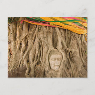 Asia, Thailand, Siam, Buddha in tree ruts at Postcard