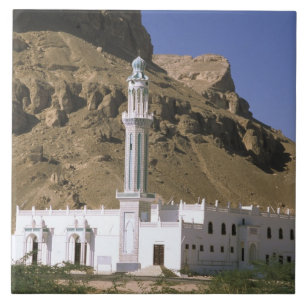 Asia, Yemen, Tarim. White mosque. Tile