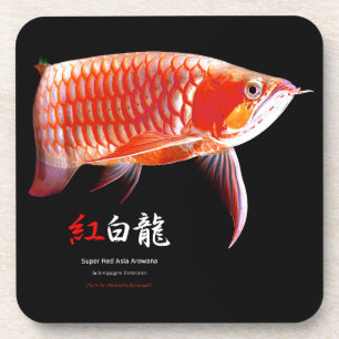 Asian Arowana の優良製品 Coaster