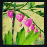 Asian Bleeding Heart Lamprocapnos Flower Bandana<br><div class="desc">2023</div>