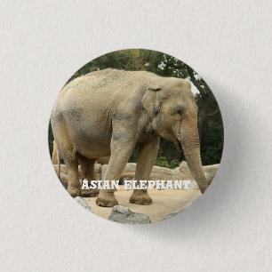Asian Elephant 3 Cm Round Badge