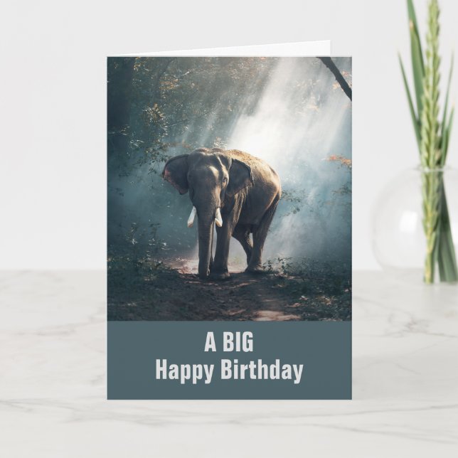 Asian Elephant in a Sunlit Forest Birthday Card (Front)
