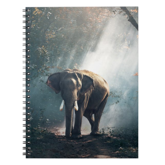 Asian Elephant in a Sunlit Forest Clearing Notebook (Front)