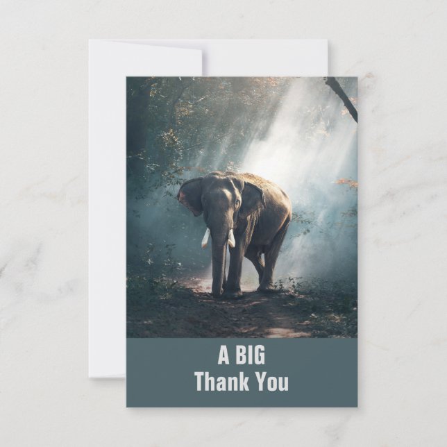 Asian Elephant in a Sunlit Forest Thank You Card (Front)