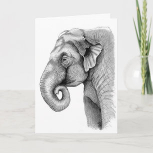 Asian elephant study Birthday Card