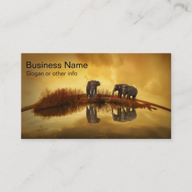 Asian Elephants in Thailand under a glowing sunset Business Card (Front)