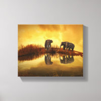 Asian Elephants in Thailand under a glowing sunset