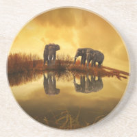 Asian Elephants in Thailand under a glowing sunset