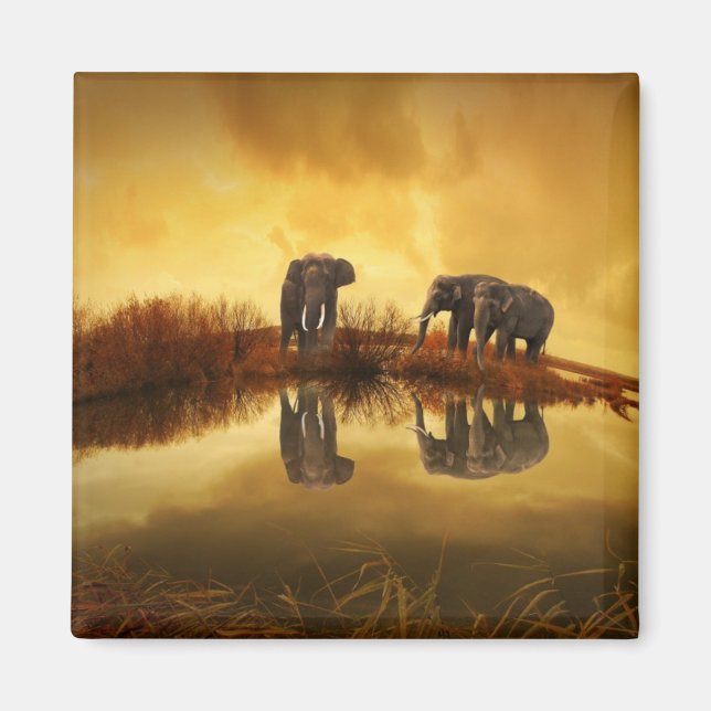 Asian Elephants in Thailand under a glowing sunset Magnet (Front)