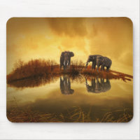 Asian Elephants in Thailand under a glowing sunset
