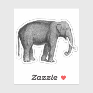 Asian Elephants Print