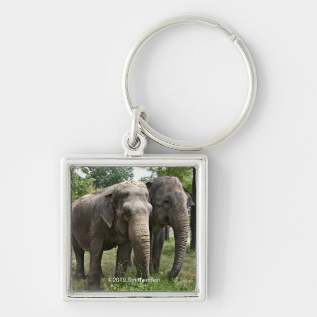 Asian Elephants Side by Side Key Ring (Front)