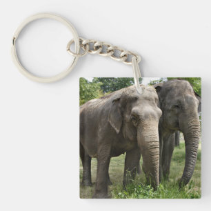 Asian Elephants Side by Side Key Ring