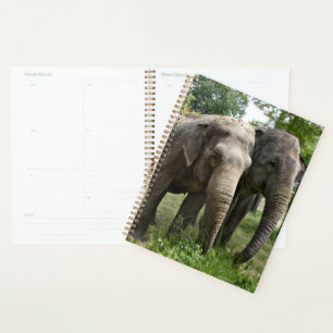 Asian Elephants Side by Side Planner